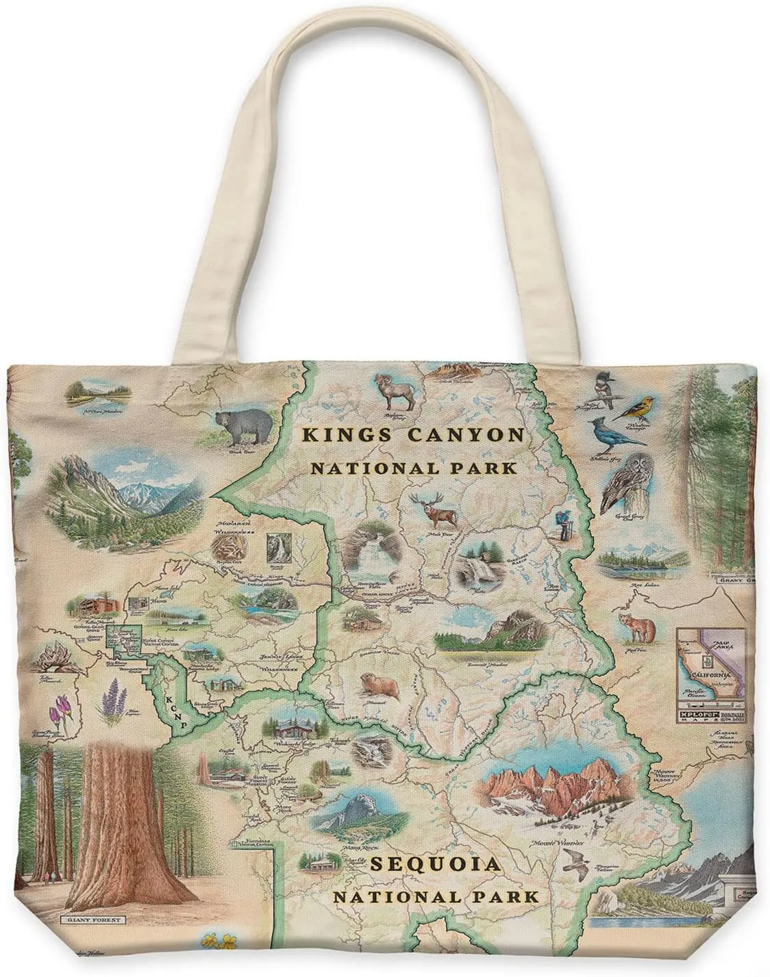 Canvas Tote Bag with Handles, Cloth Grocery Shopping Bag, Reusable & Eco-friendly Bag, 100% Cotton, Washable