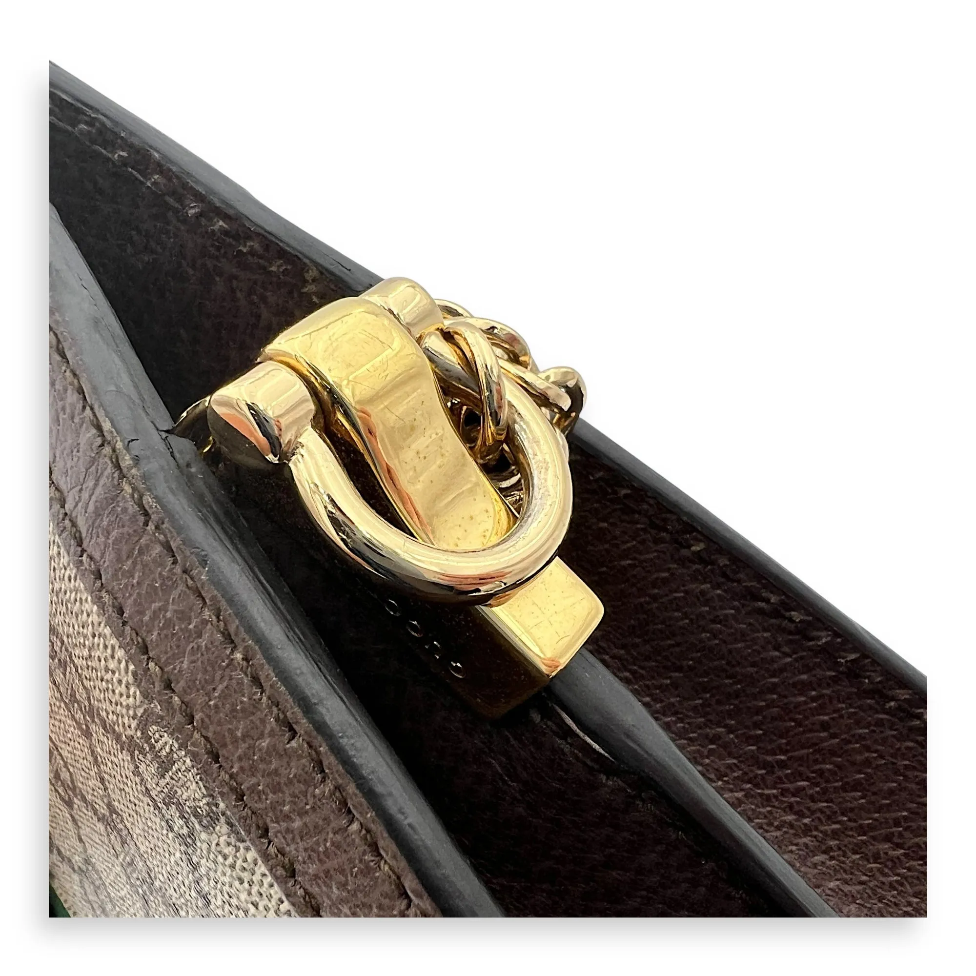 Ophidia Crossbody Bag Brown in Monogram Coated Canvas, Gold hardware